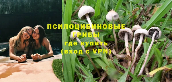 гашиш Белокуриха
