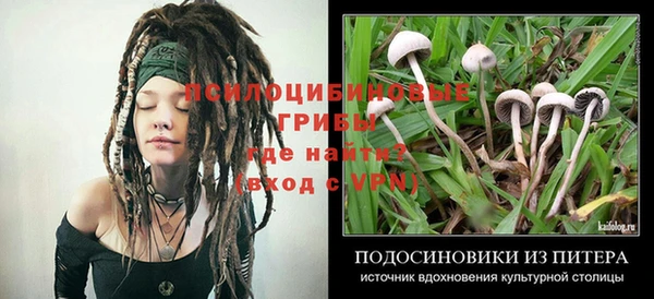 гашиш Белокуриха