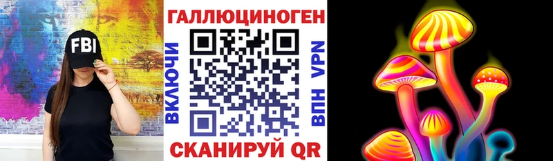 где можно купить наркотик  Мглин  Галлюциногенные грибы GOLDEN TEACHER 